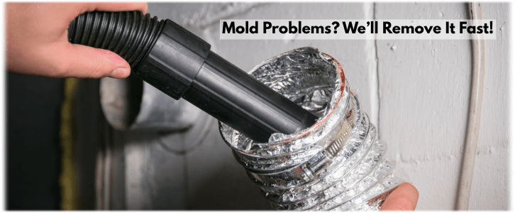 Air Duct Mold Removal in Libertyville IL