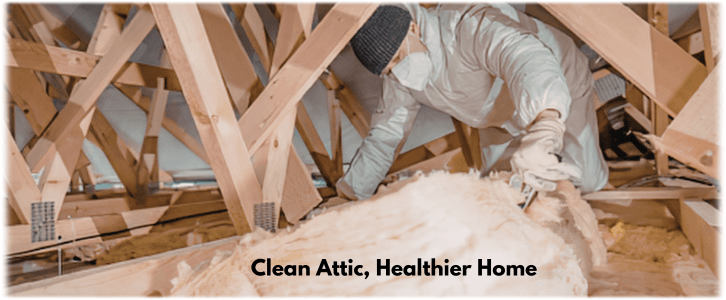 Attic Cleaning Libertyville IL