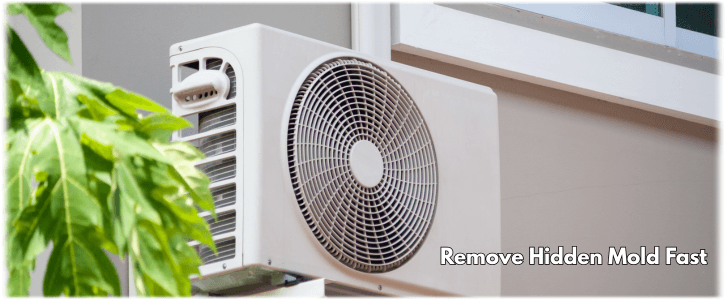 HVAC Mold Removal Libertyville IL